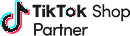 TikTok Ads Partner